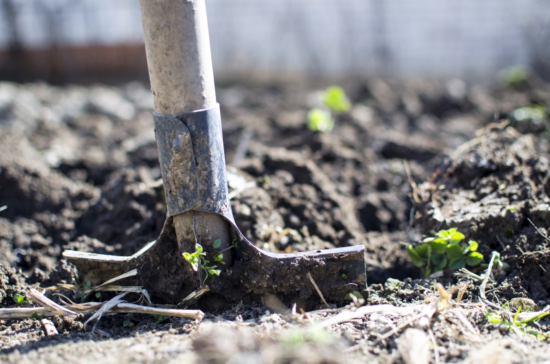 jardinerie-LA ROQUETTE SUR SIAGNE-min_equipment-2047314