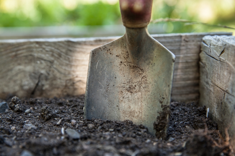 jardinerie-LA ROQUETTE SUR SIAGNE-min_garden-1176406